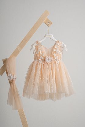 Εικόνα της Βαπτιστικό φόρεμα Piccolino Filomena Salmon