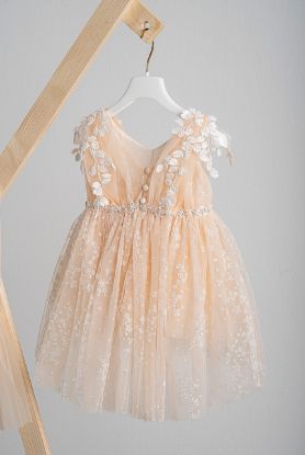 Εικόνα της Βαπτιστικό φόρεμα Piccolino Filomena Salmon