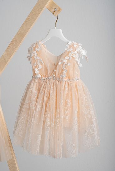 Εικόνα της Βαπτιστικό φόρεμα Piccolino Filomena Salmon